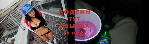 спиды Весьегонск