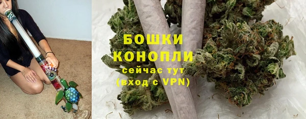 ГАЛЛЮЦИНОГЕННЫЕ ГРИБЫ Остров