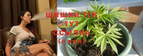 хмурый Видное