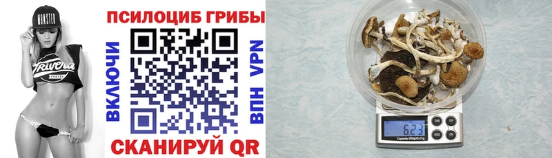 Псилоцибиновые грибы Psilocybe  наркошоп  Саянск 